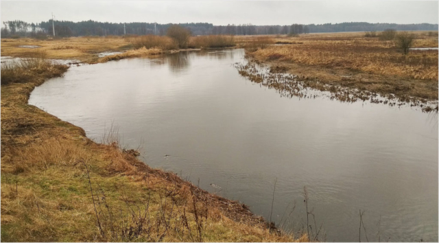 Narew in the east