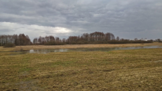 muddy terrain