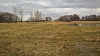 muddy terrain 1