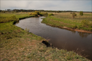 Narew river