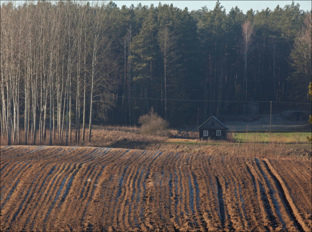 lonely house