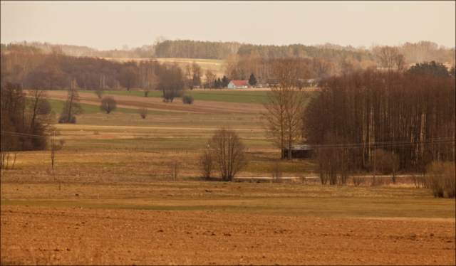 Bieniowce village