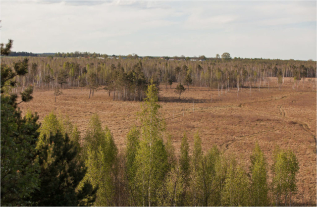 valley of the Biebrza river