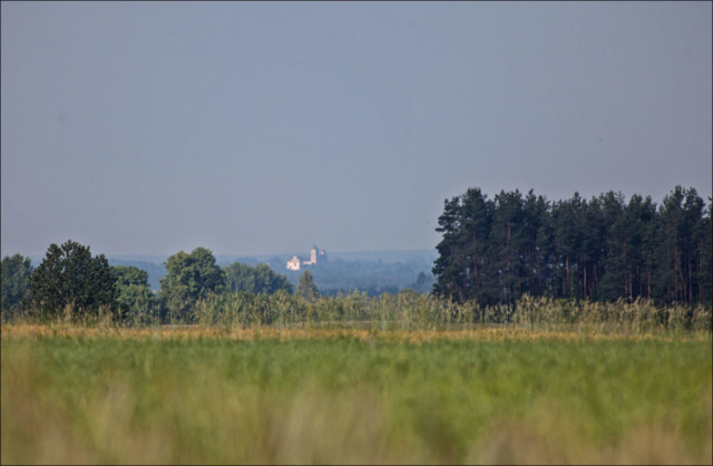 from the border with Belarus