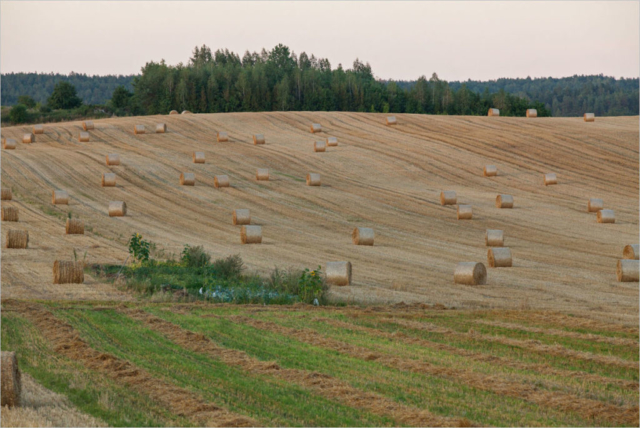 after the harvest