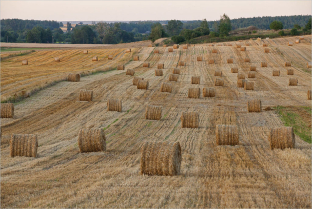 straw bales