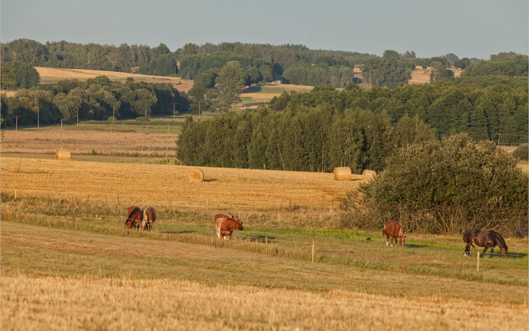 Just before sunset