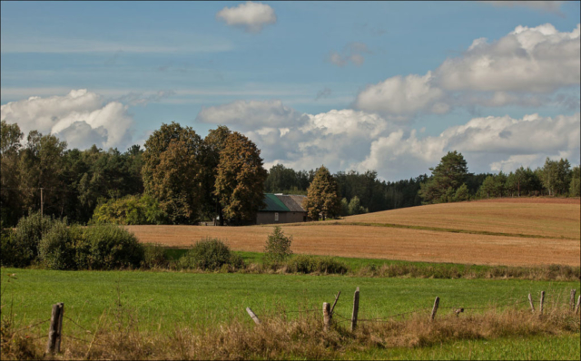 farm near the forest