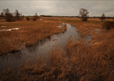 in Jaczno in February