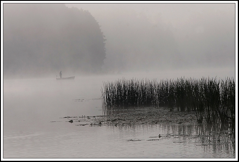 fisherman in fog