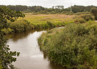 Narew river