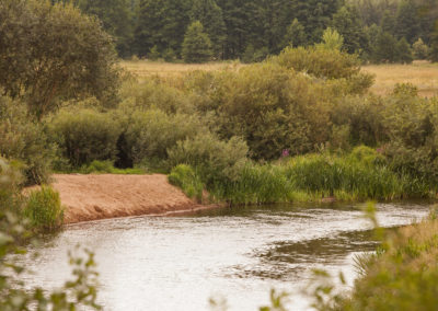 Narew river