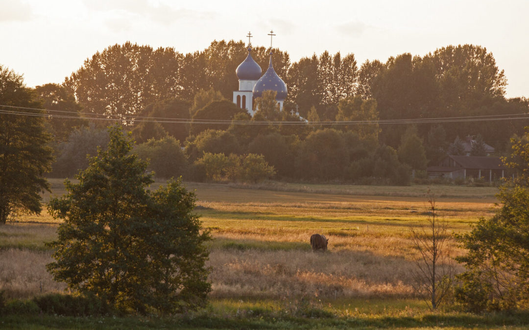 meadows behind the village Jaczno