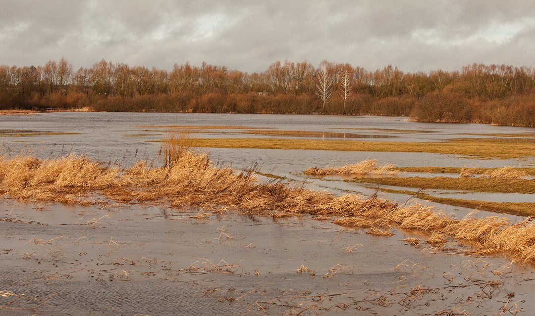 Our Sidra river is also no worse