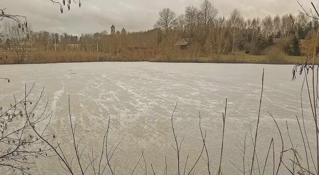 on the pond